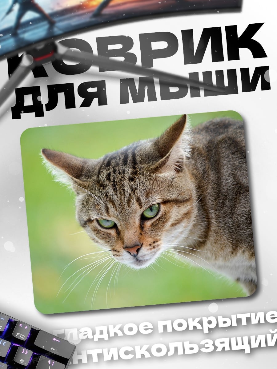 Коврик Кот