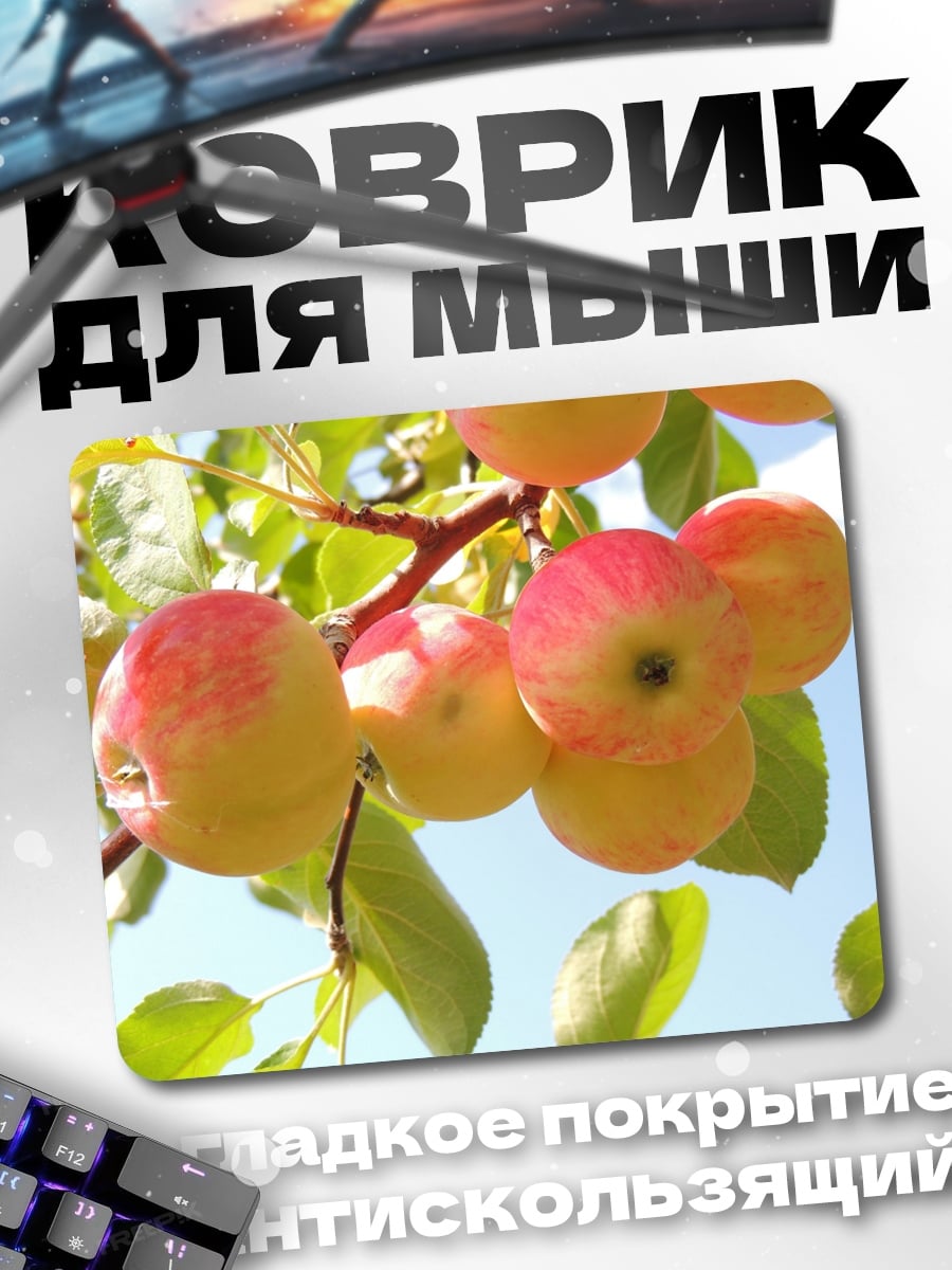 Коврик яблоки на ветке