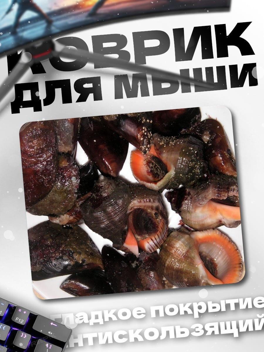 Коврик Морские улитки