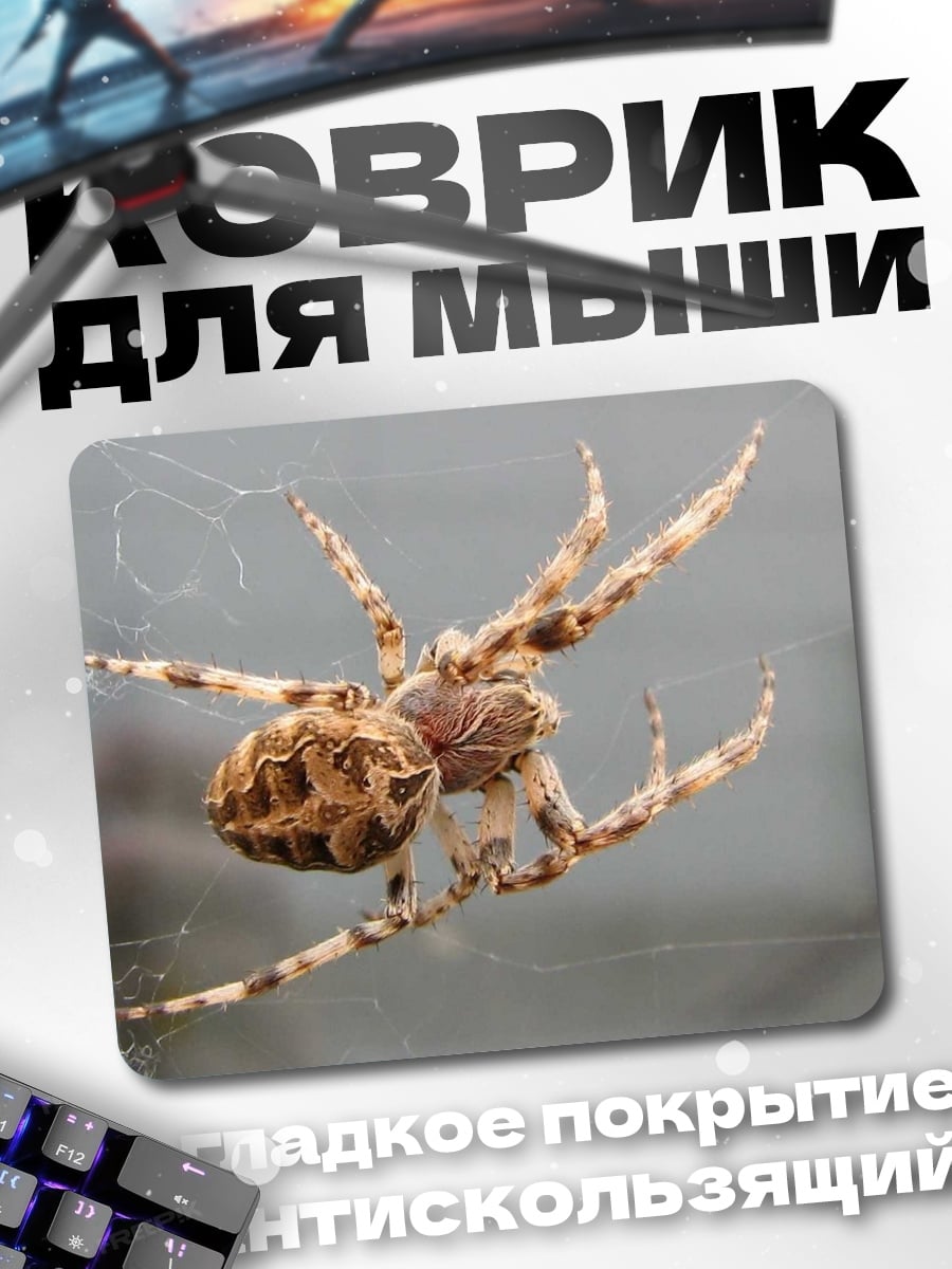 Коврик Паук на паутине