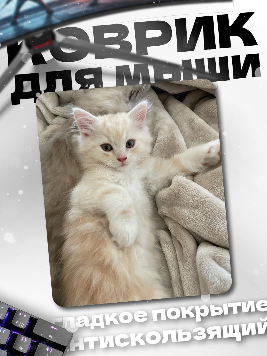 Коврик Пушистый котенок лежит