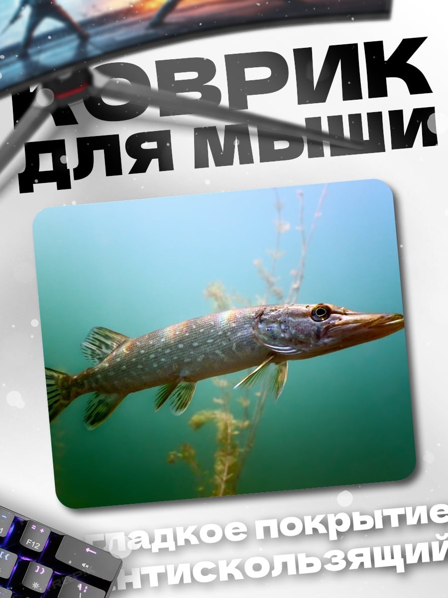 Коврик Щука в воде