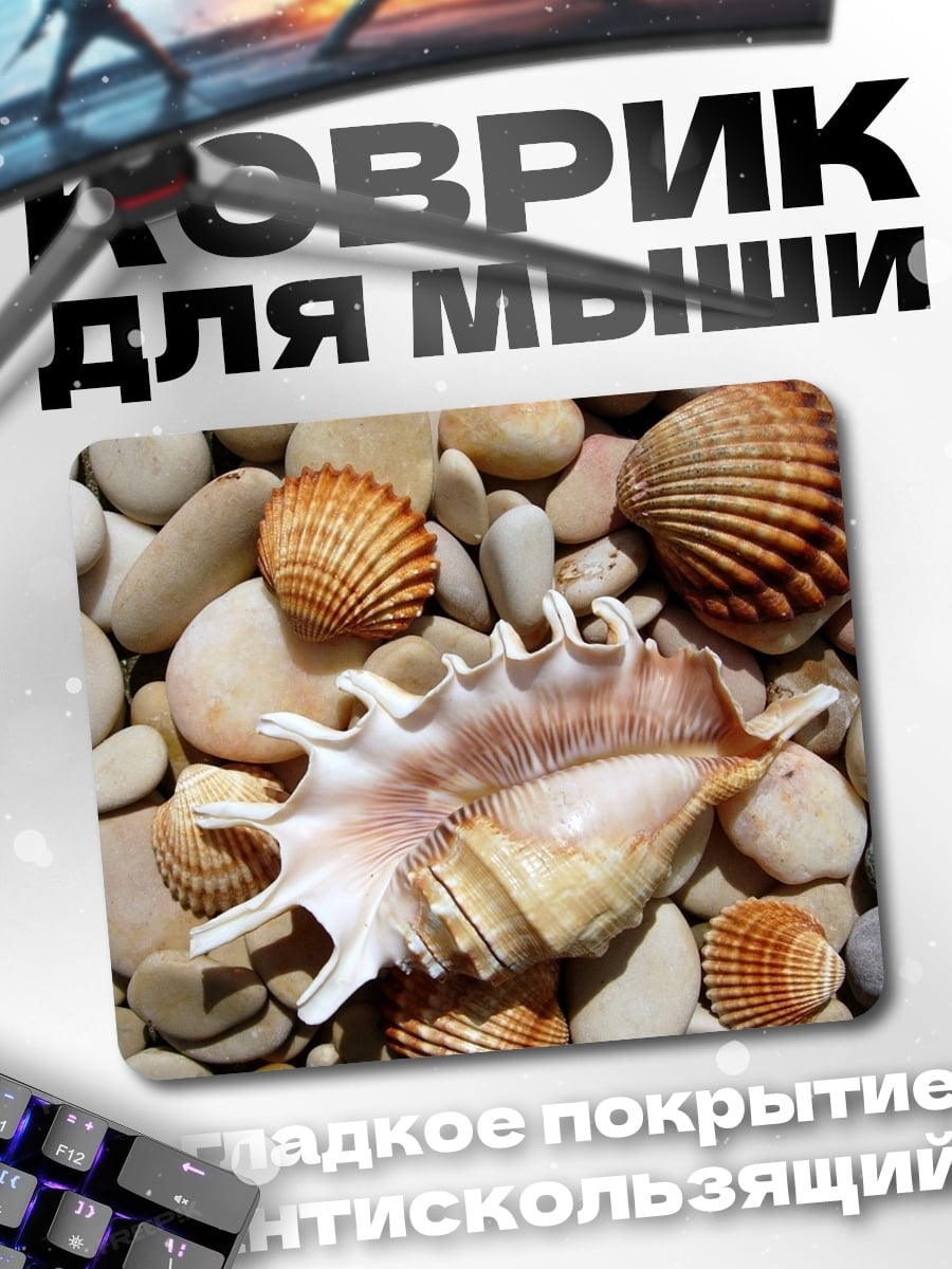 Коврик Морские ракушки
