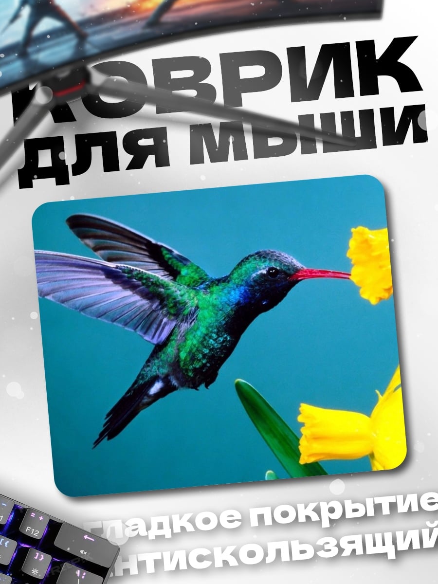 Коврик колибри и нарциссы