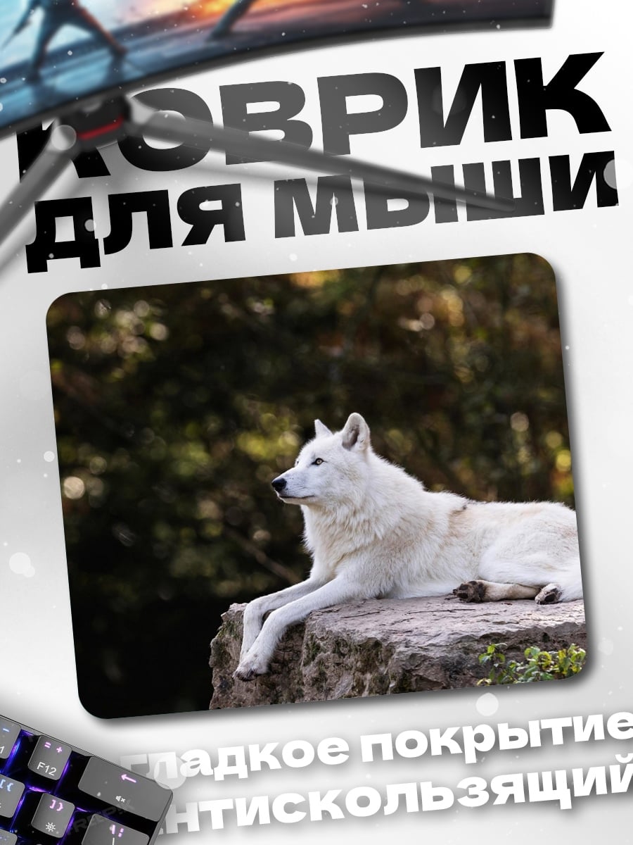 Коврик белый волк лежит
