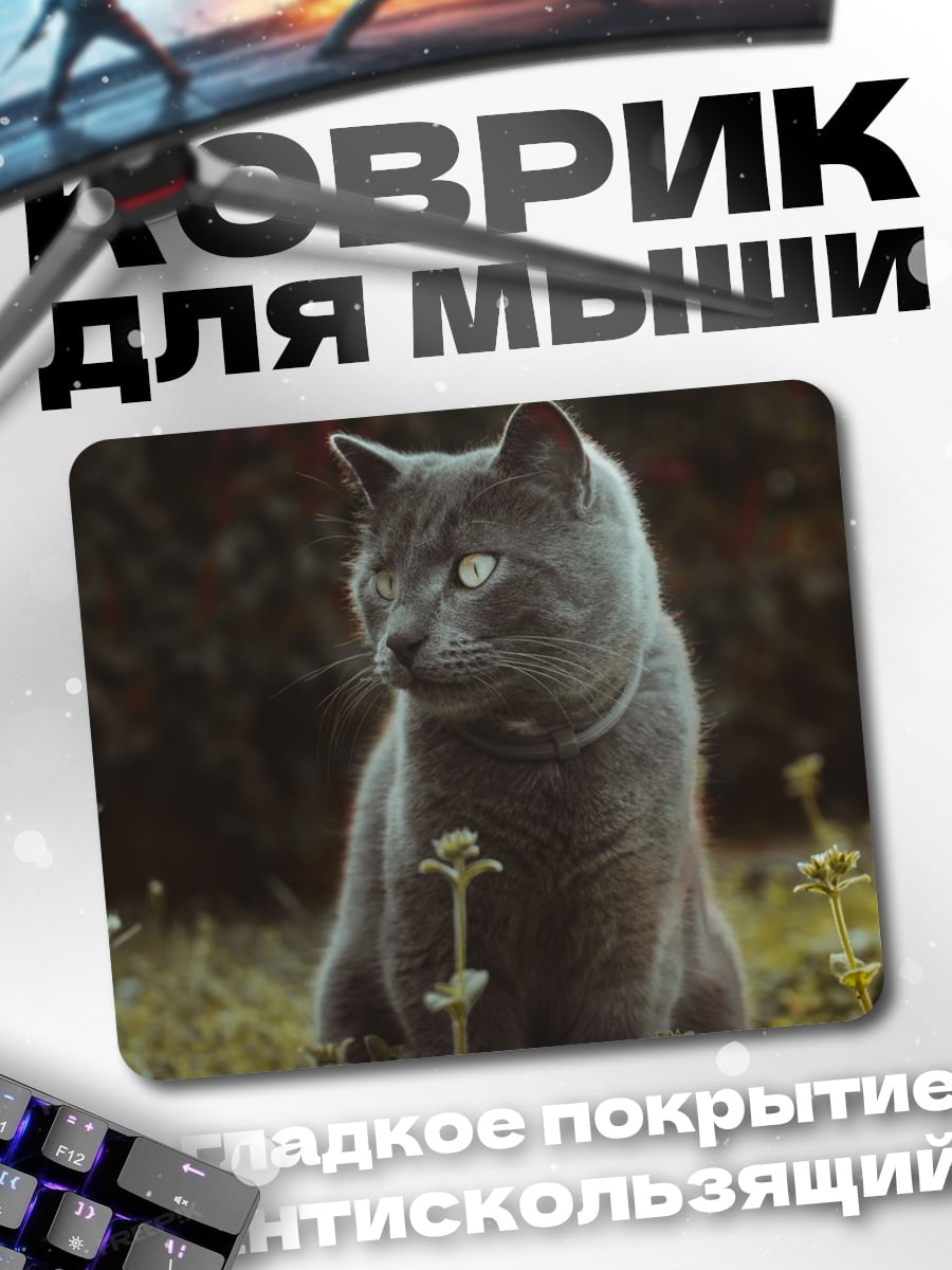 Коврик Серый кот