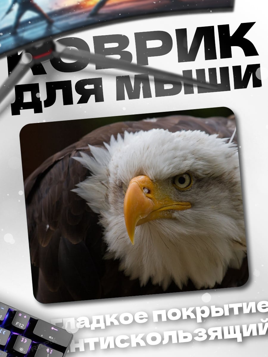 Коврик орел