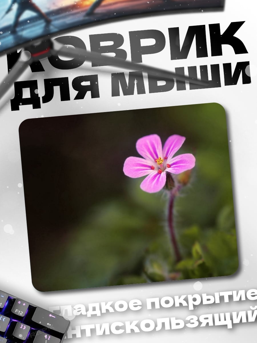 Коврик Розовый полевой цветок
