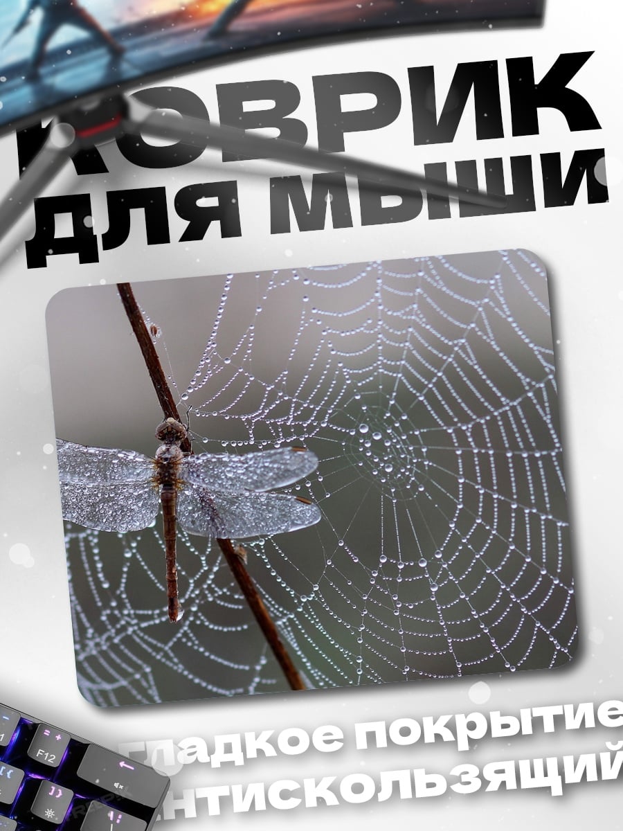Коврик Стрекоза на паутине