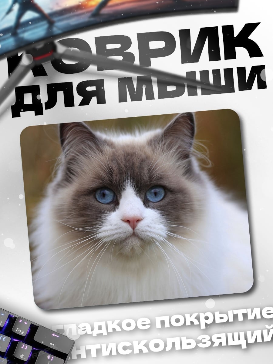 Коврик кот породы рэгдолл