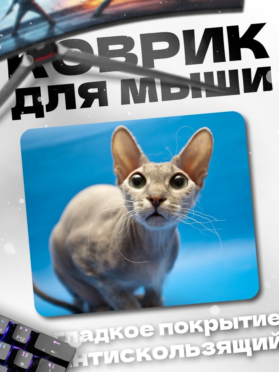 Коврик лысый кот с большими ушами