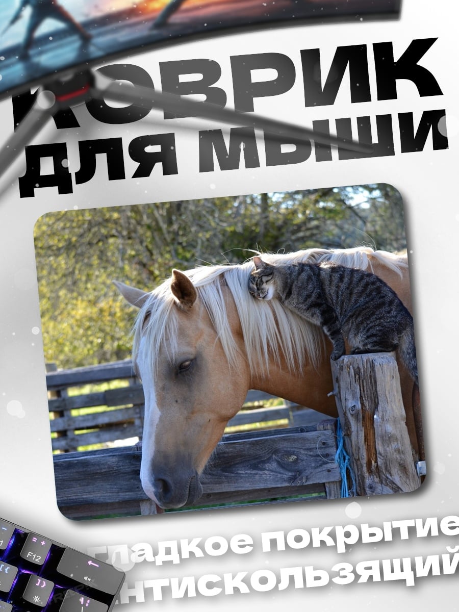 Коврик Кот на лошади