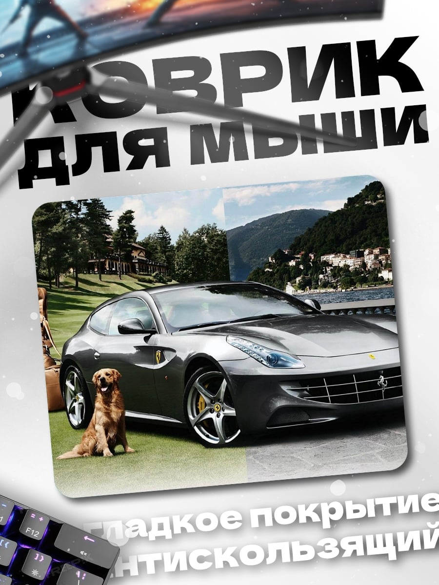 Коврик собака и спорткар