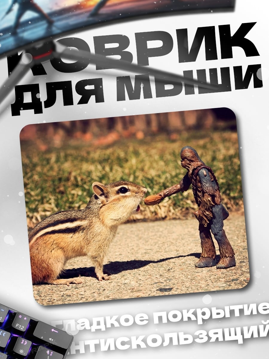 Коврик человек кормит бурундука