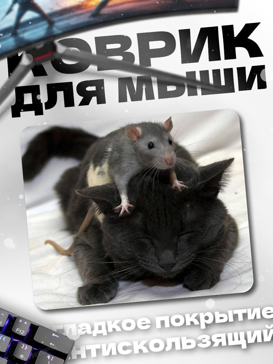 Коврик кот и крыса