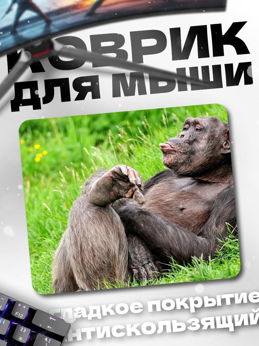 Коврик Шимпанзе и бабуин