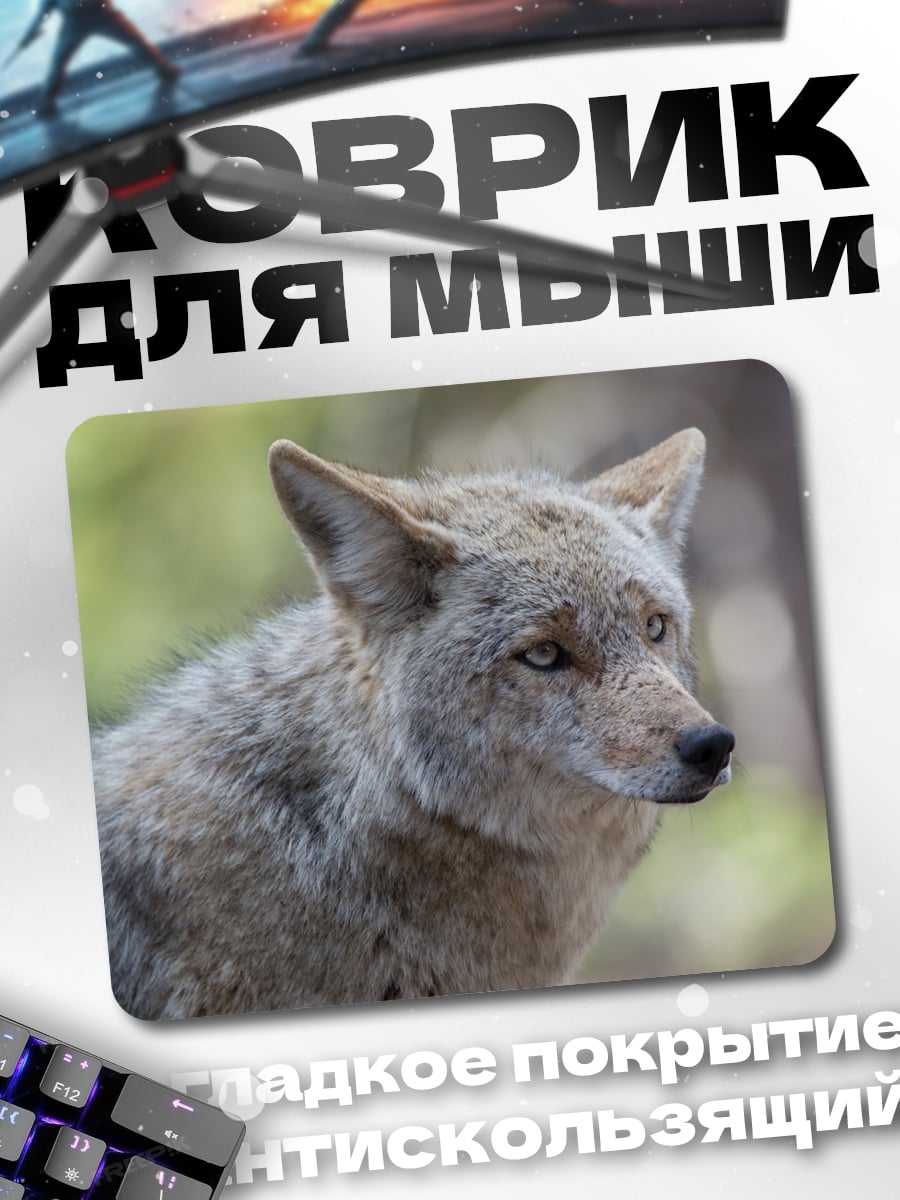 Коврик Крупный план койота