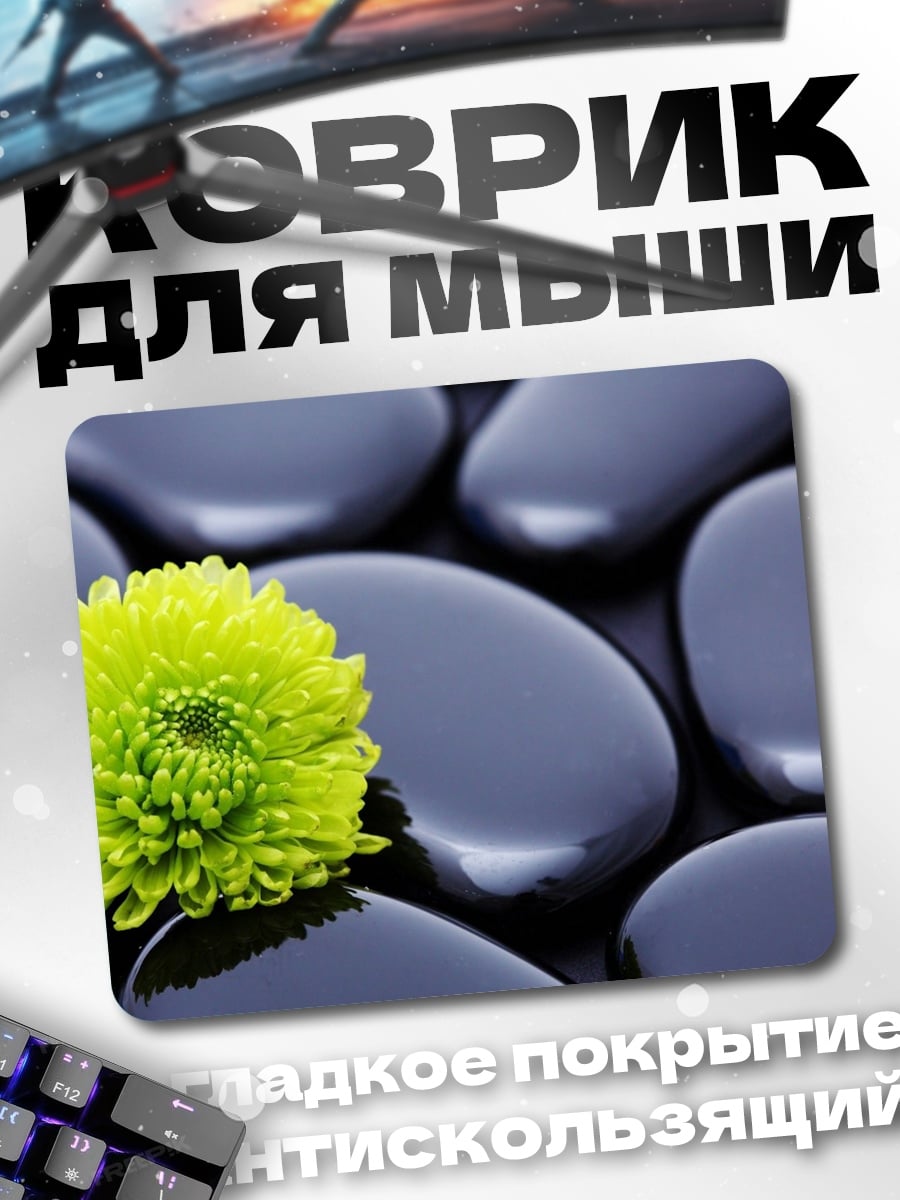 Коврик зеленый цветок на камнях