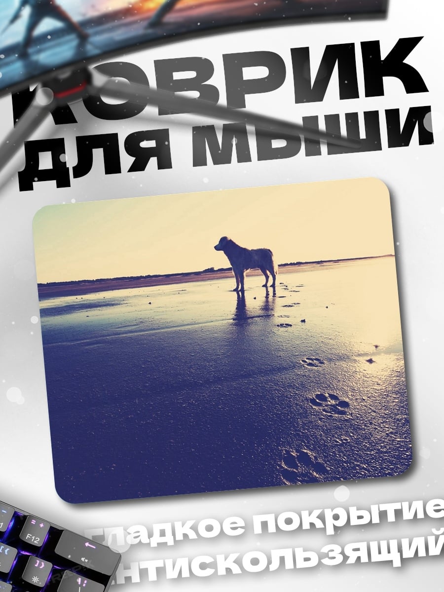 Коврик Собака на пляже