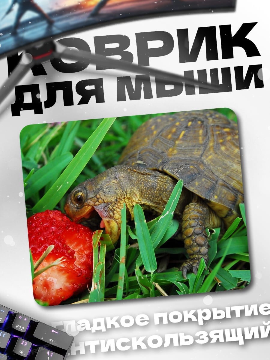 Коврик Черепаха ест клубнику