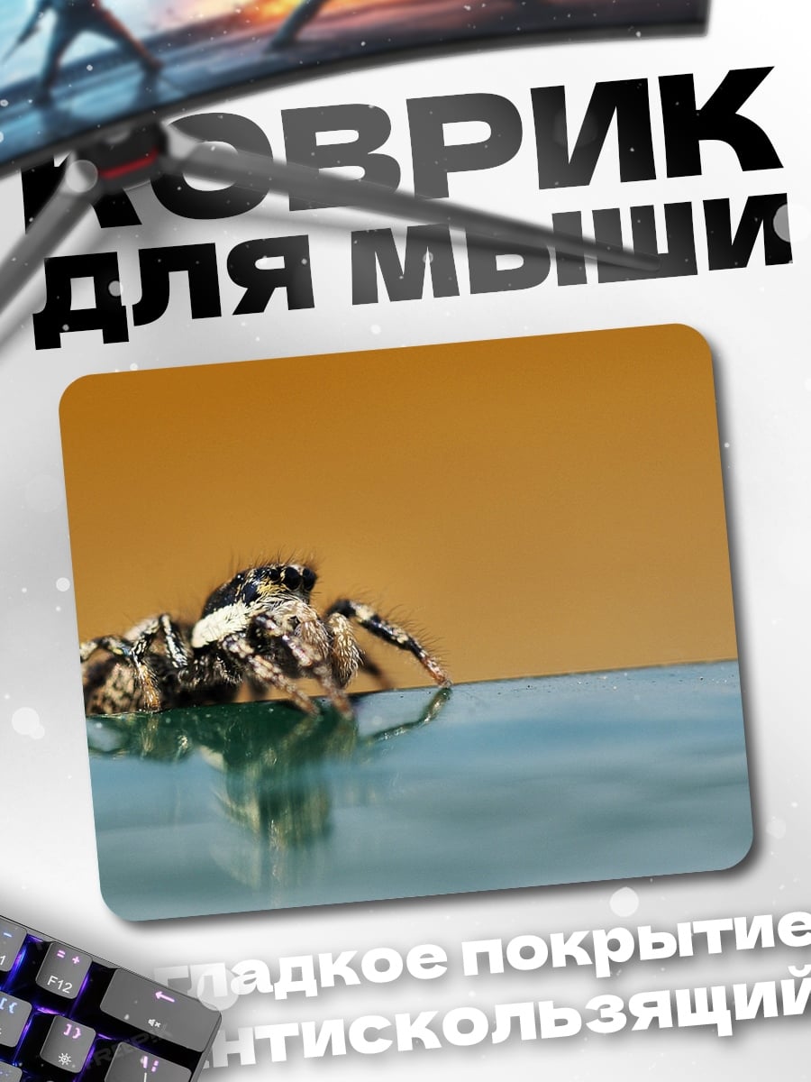 Коврик Паук на воде