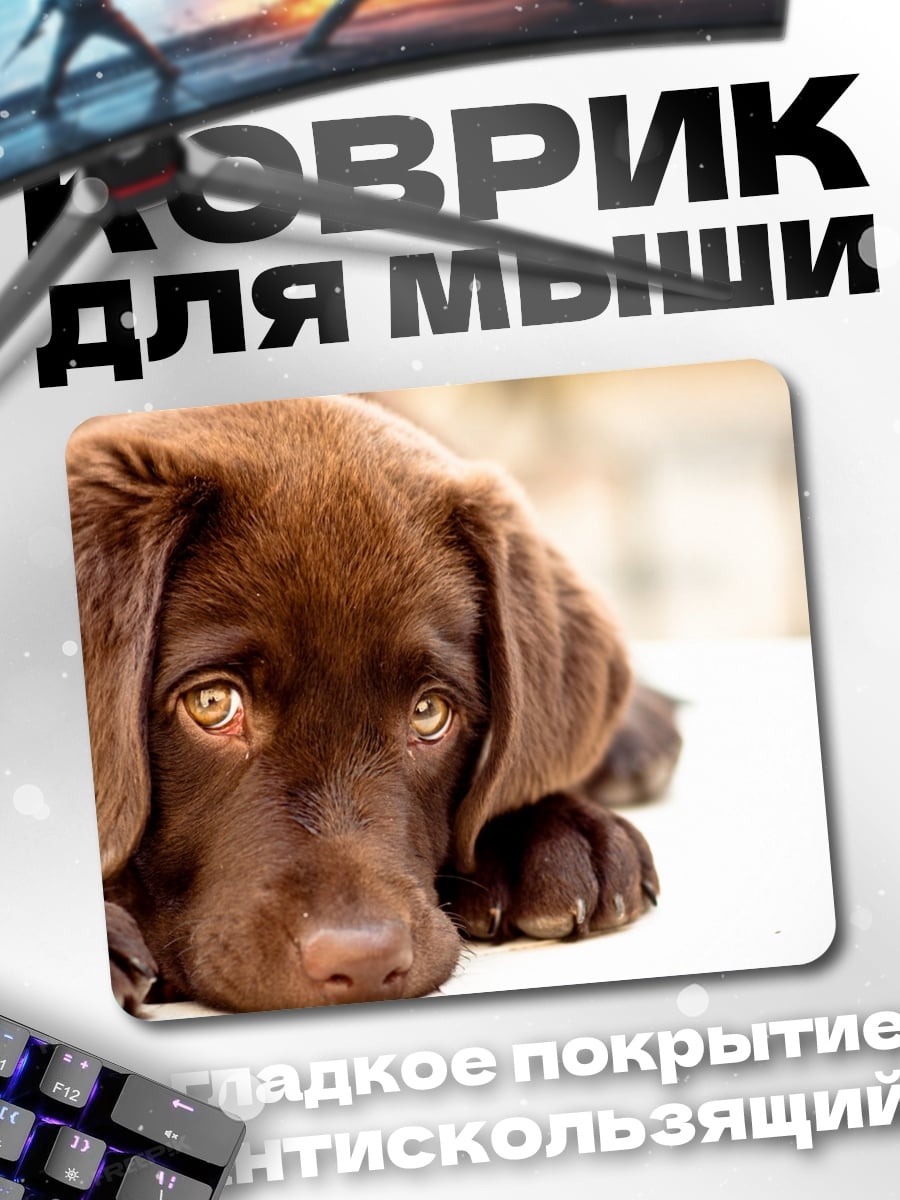 Коврик Шоколадный лабрадор