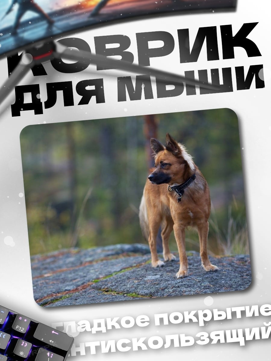 Коврик Собака в лесу
