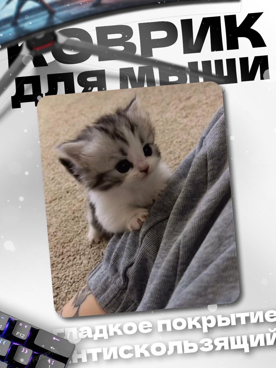 Коврик Котенок на коленях