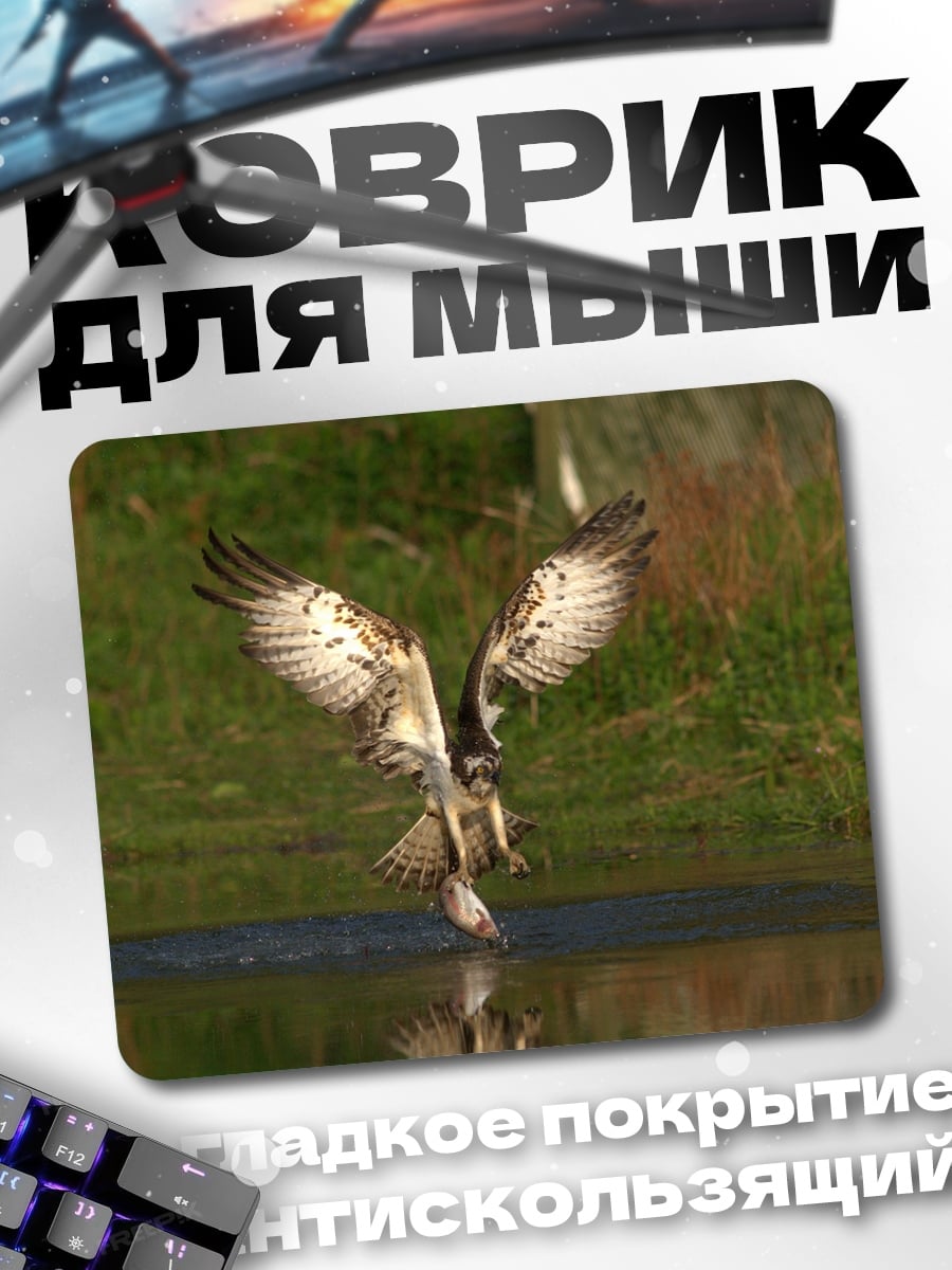 Коврик Орел ловит рыбу