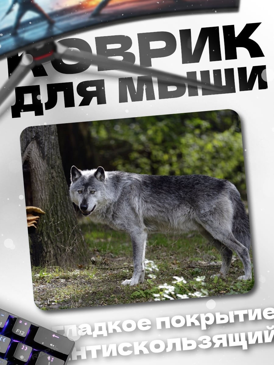 Коврик Серый волк в лесу
