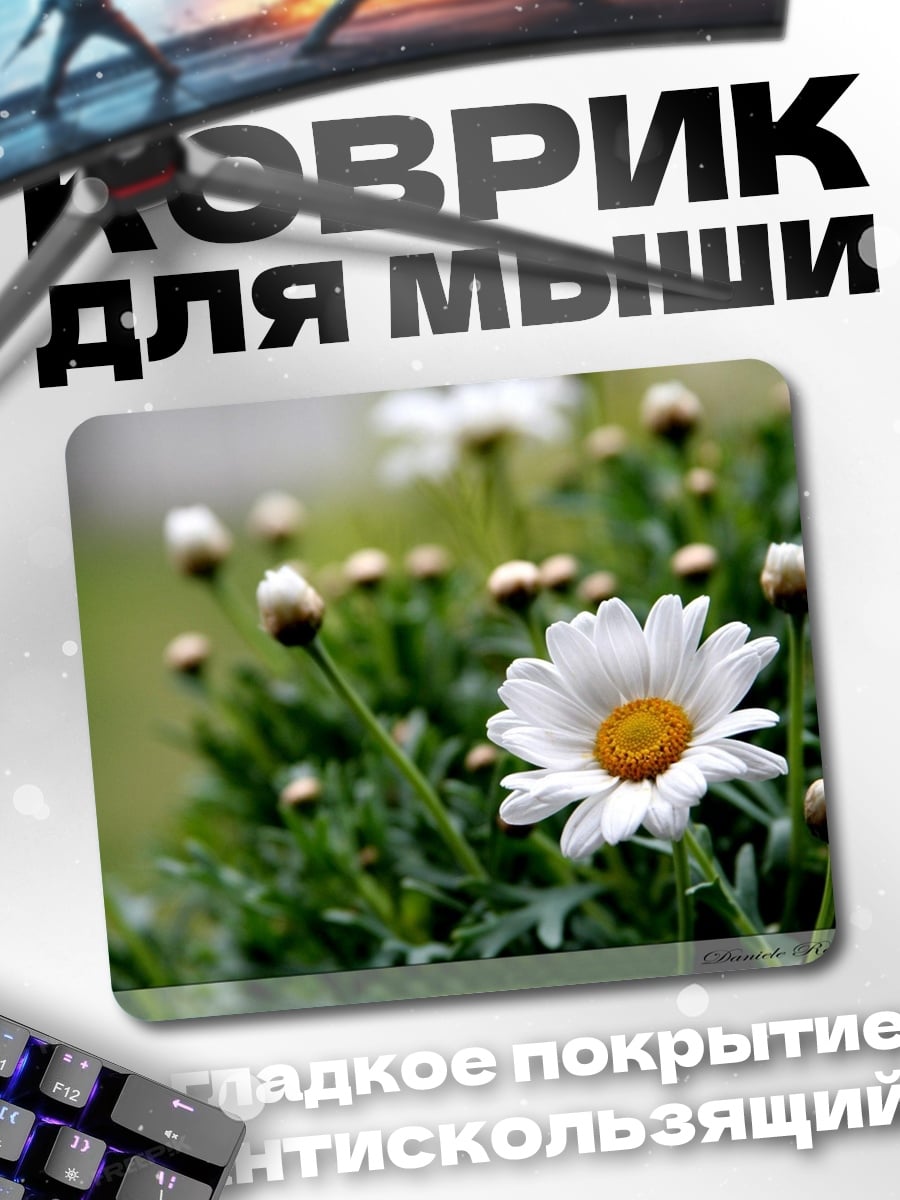 Коврик Белая ромашка