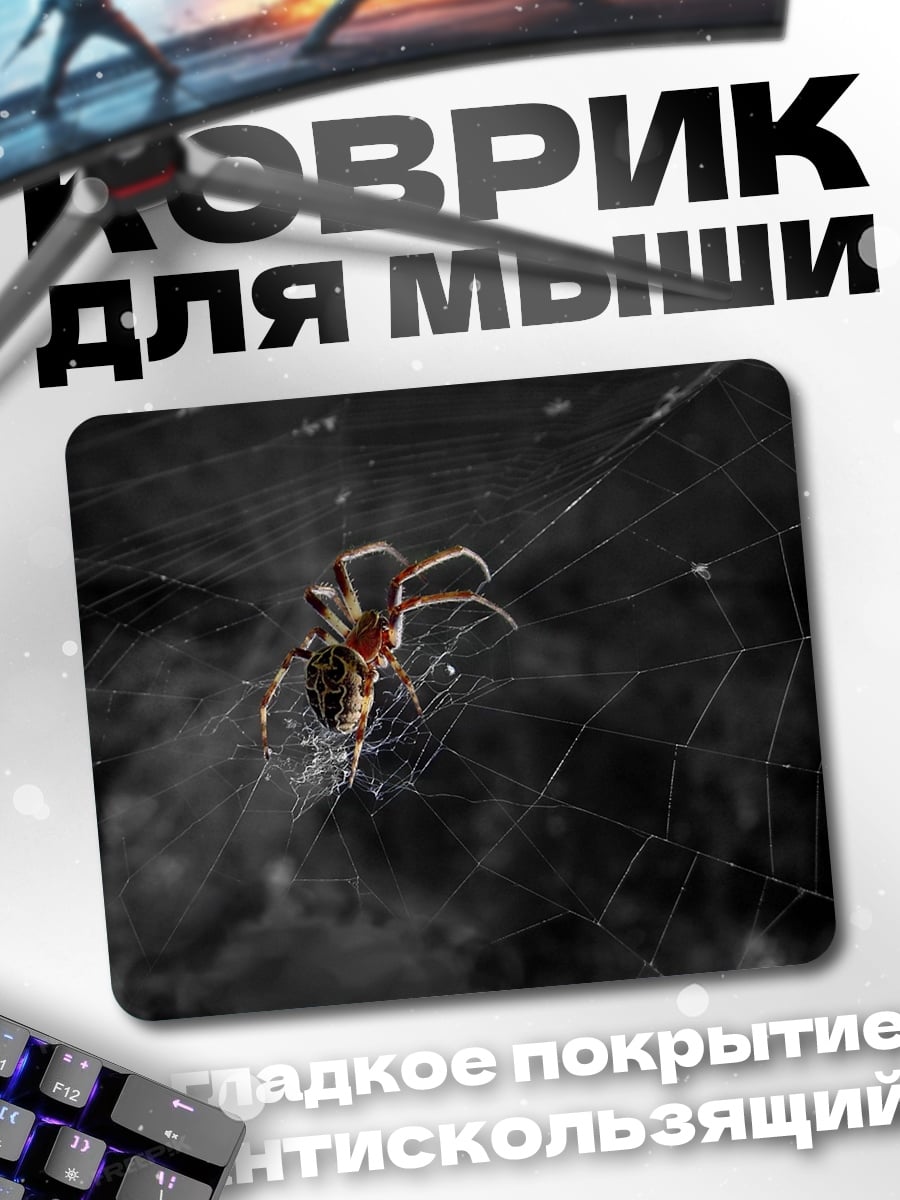 Коврик Паук в паутине