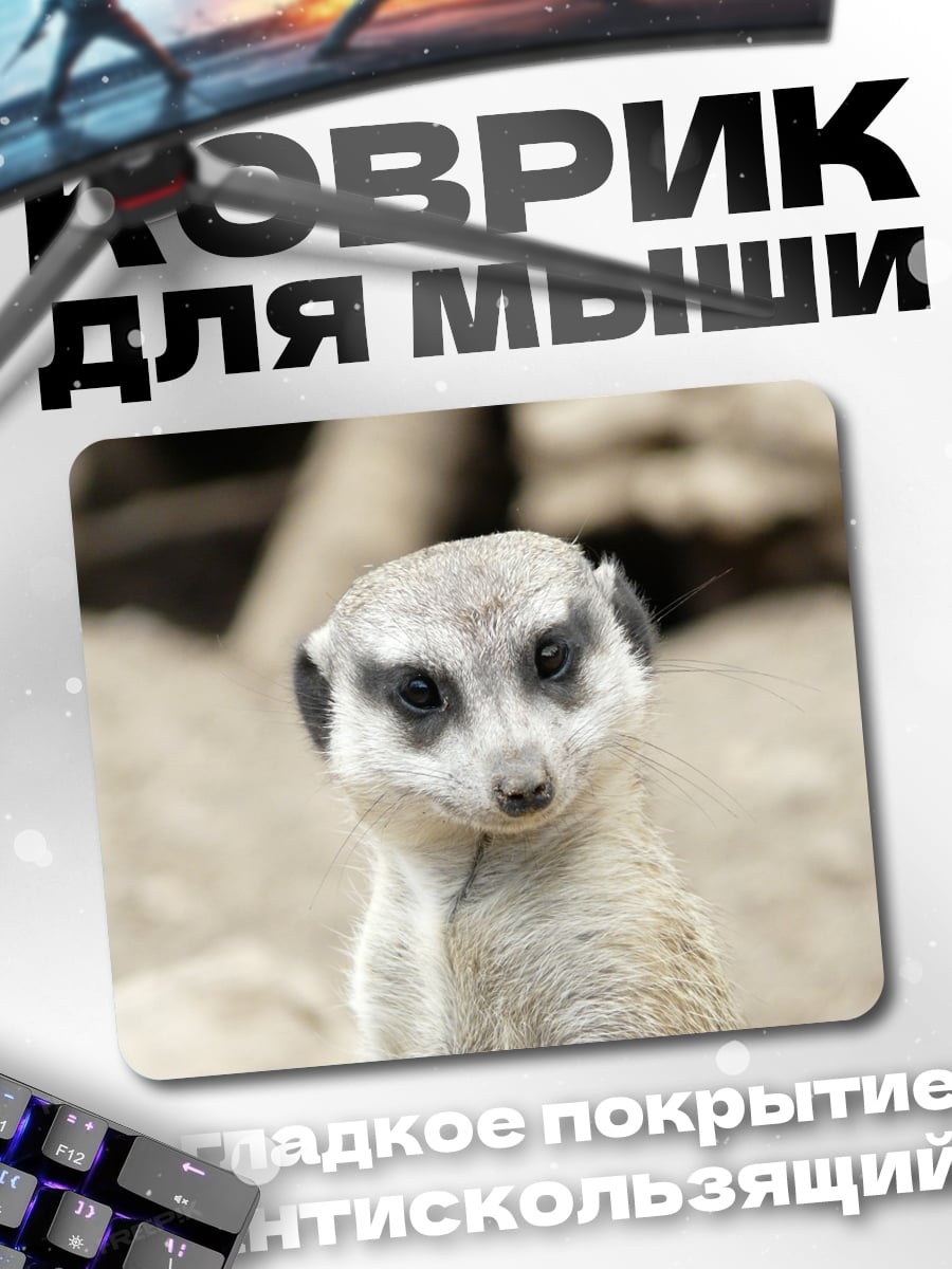 Коврик Любопытный сурикат