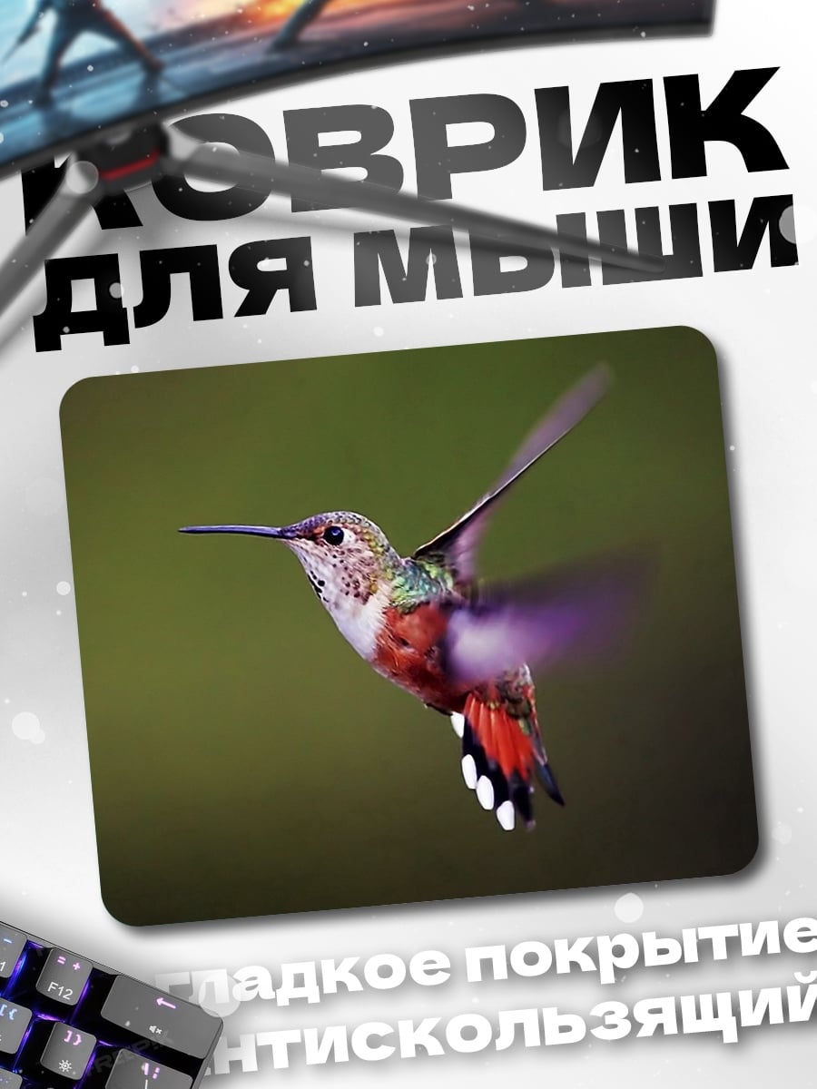 Коврик Колибри в полете