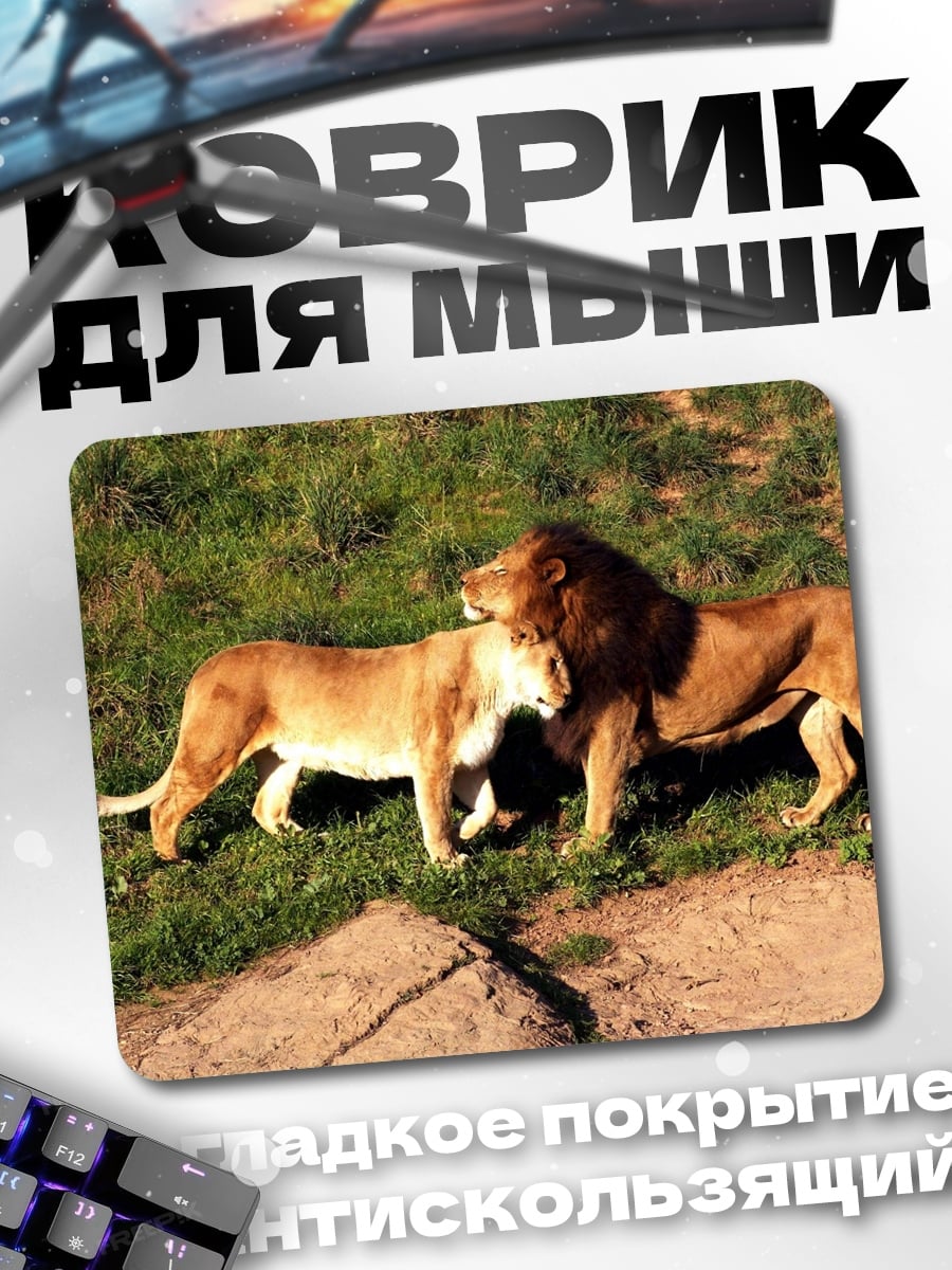 Коврик Пара львов в траве