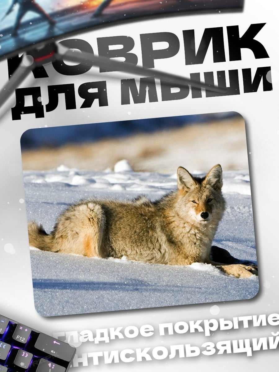 Коврик Койот в снегу