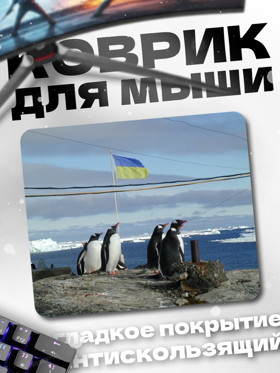 Коврик Пингвины и флаг