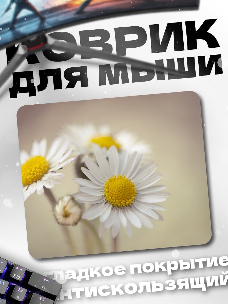 Коврик полевые цветы ромашки