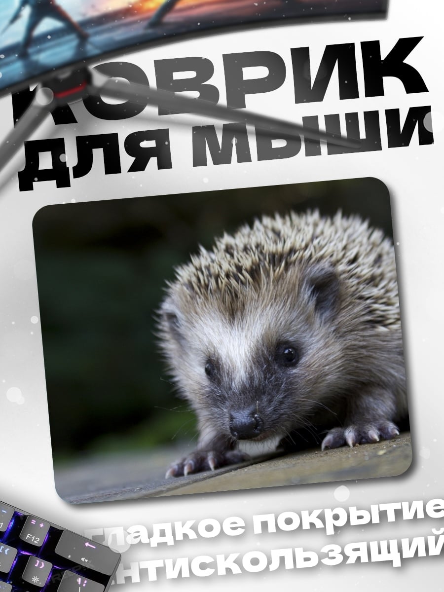 Коврик Ёжик в траве