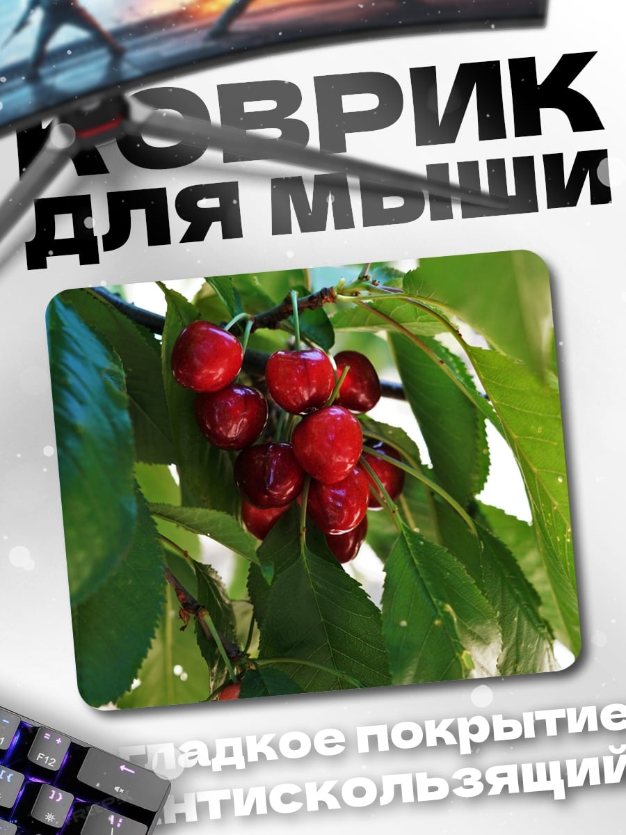 Коврик вишня на ветке