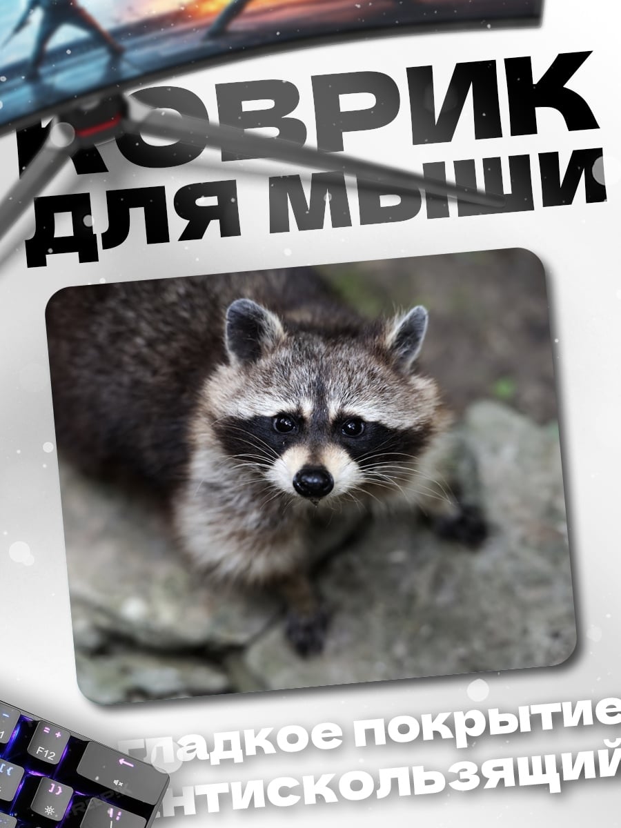 Коврик енот смотрит вверх