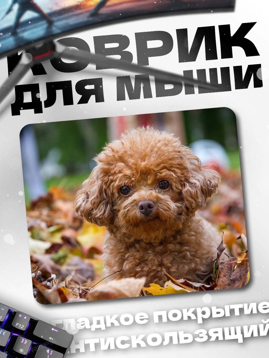Коврик Рыжий пудель осенью