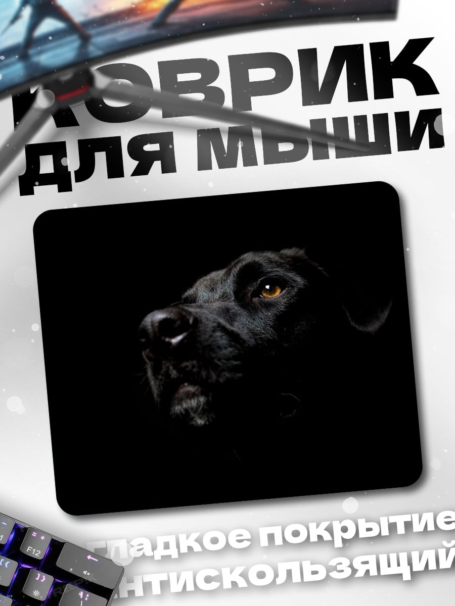 Коврик Черный лабрадор в темноте