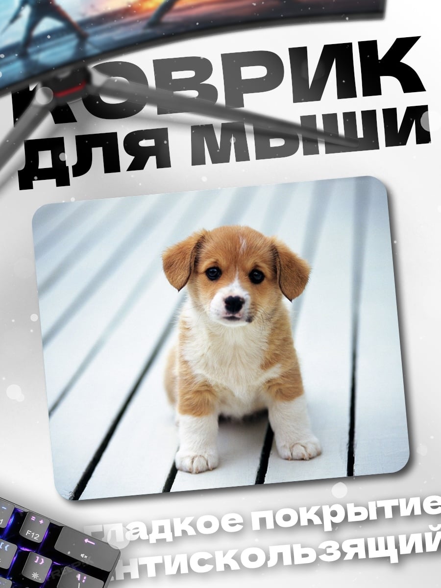 Коврик Милый щенок корги