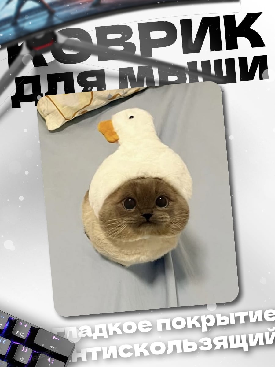 Коврик Кот в шапке утки