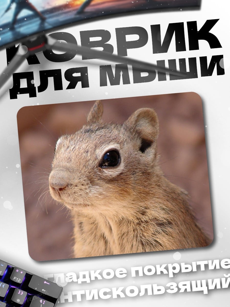 Коврик Бурундук крупным планом