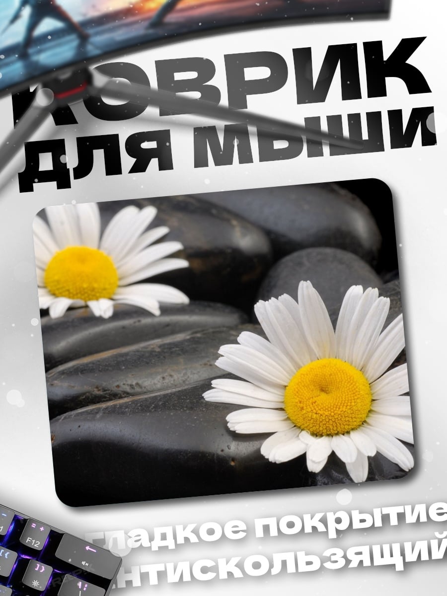 Коврик Камни и ромашки