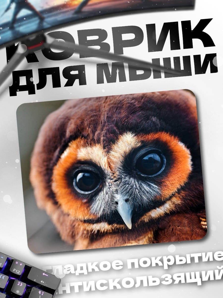 Коврик Крупный план совы