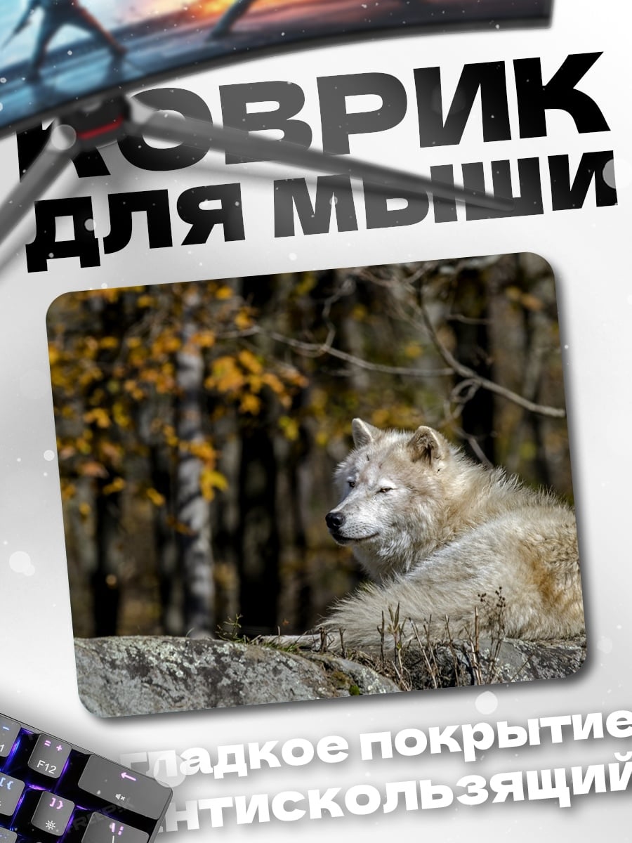 Коврик Белый волк осенью