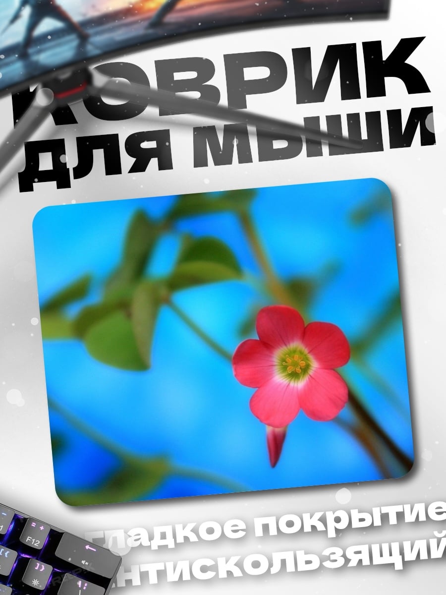 Коврик Розовый цветок на синем